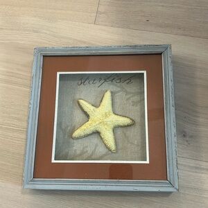 Starfish shadow box